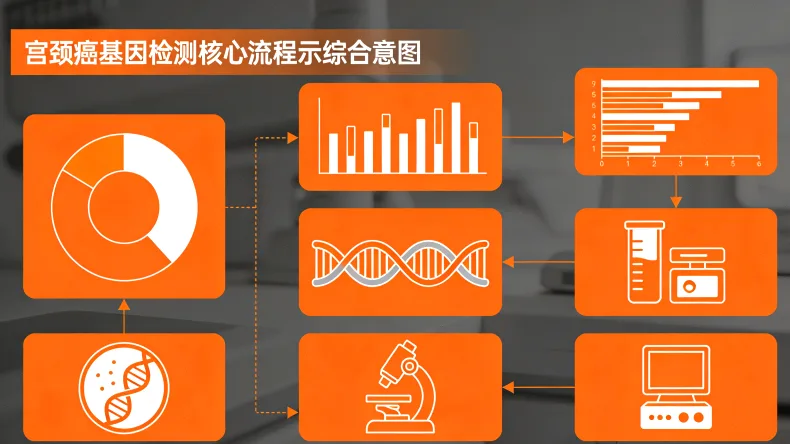 基因检测样本采集（血液）操作图示