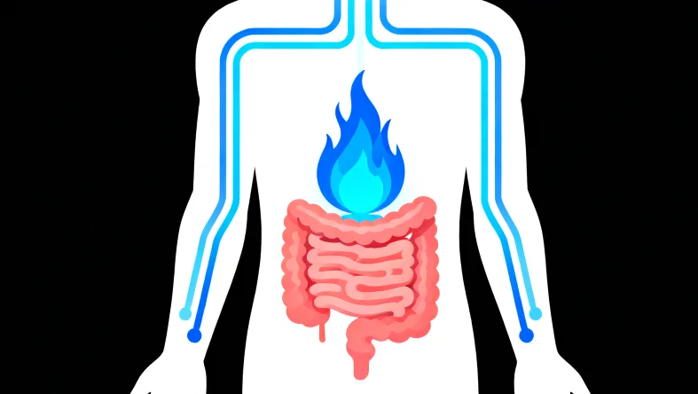 髓母细胞瘤分子分型示意图