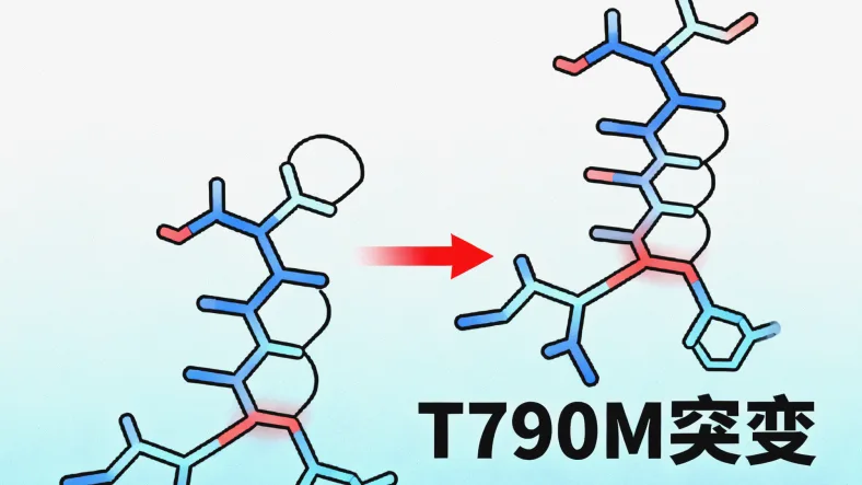 基因检测报告核心部分解读示例图