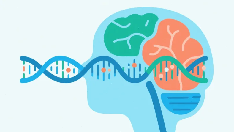 髓母细胞瘤四大核心分子分型示意图