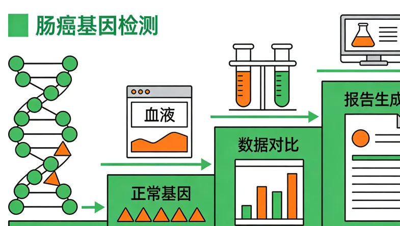 基因检测报告关键部分解读标注图