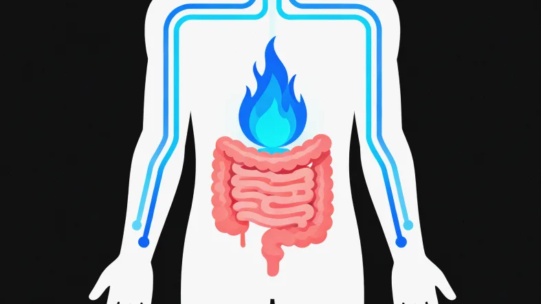 专业遗传咨询师进行检测前评估