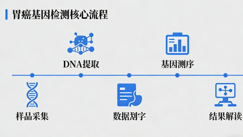 专业基因检测报告核心部分解读示例
