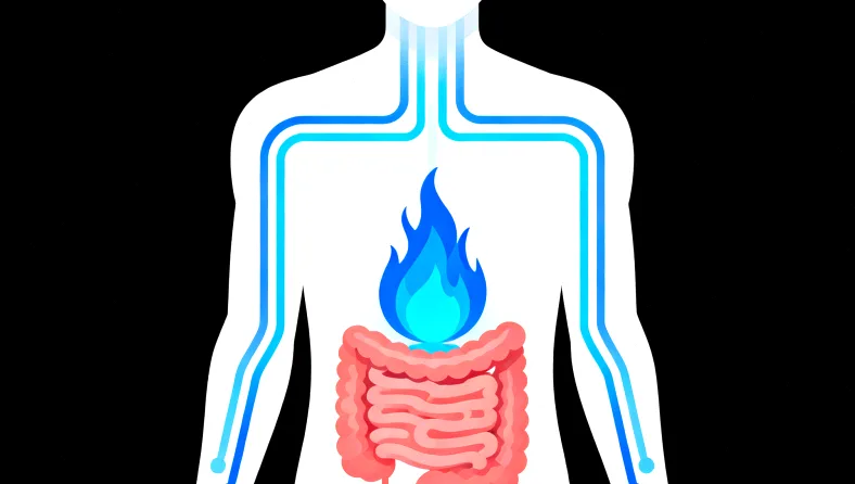 鼻咽癌基因检测抽血采样示意图