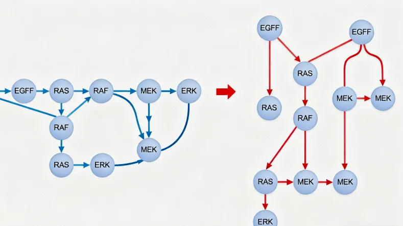 血液肿瘤基因检测全流程示意图