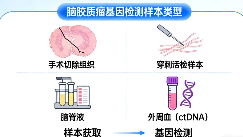 白血病基因检测核心流程示意图