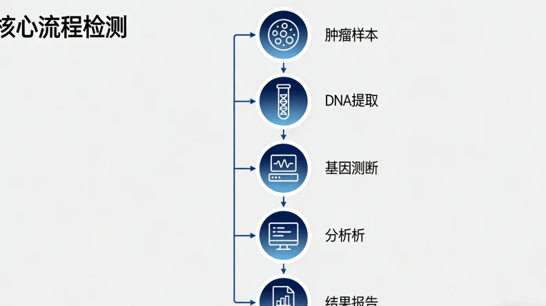 结直肠癌基因检测流程示意图