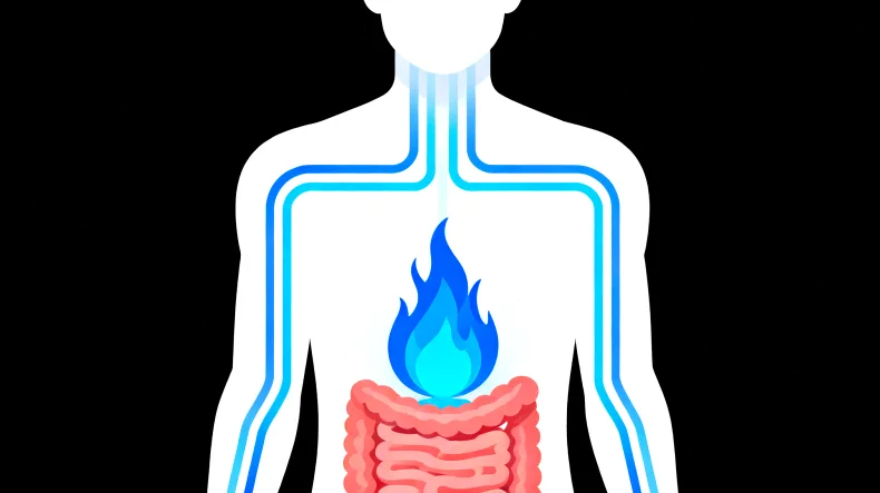 肺癌基因检测流程示意图
