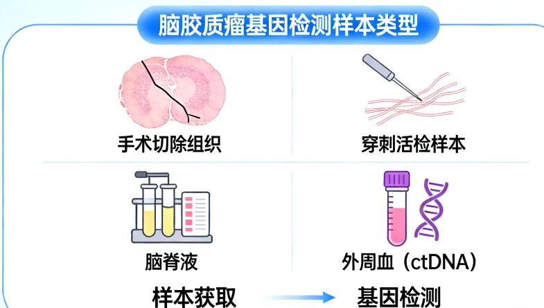 高通量测序仪在实验室工作中