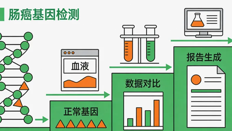 基因检测报告关键信息区域标注