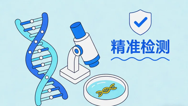 BRAF基因V600突变示意图