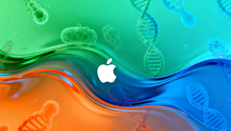 PD-1抑制剂作用机制示意图