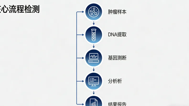 EGFR靶向药耐药机制示意图