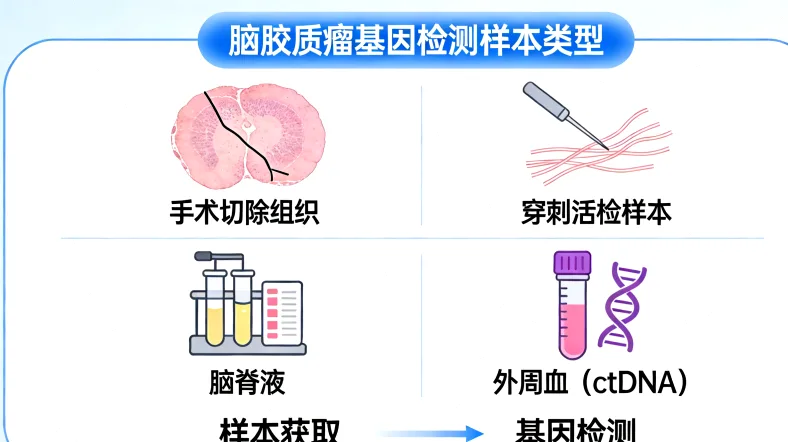 靶向药物作用机制简图