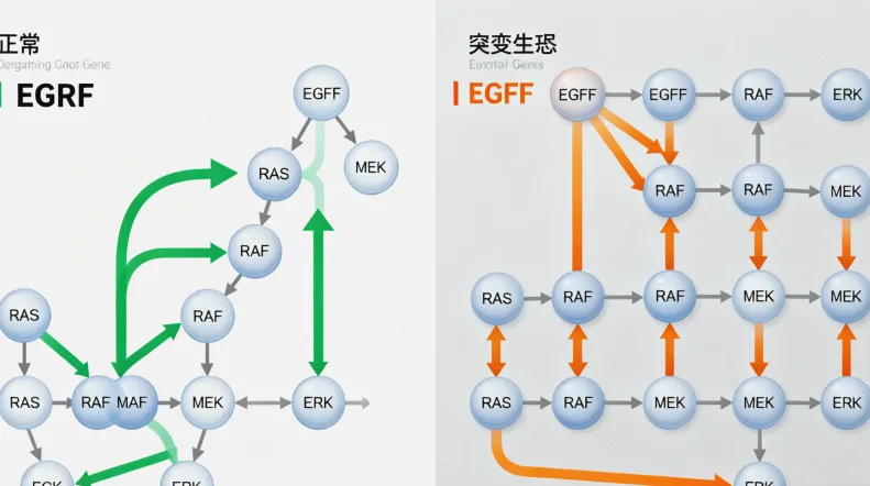 基因检测实验室工作流程示意图