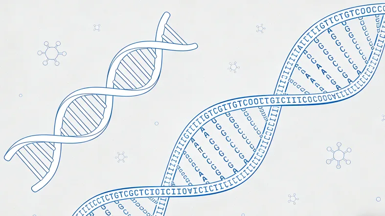 基因检测报告关键部分标注示例