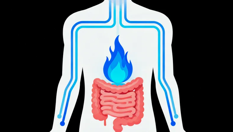 免疫组化检测PD-L1的病理切片图像