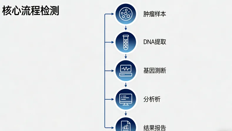 免疫治疗作用机制示意图