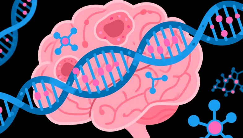 HER2蛋白在细胞膜表达示意图