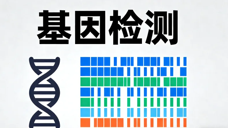 c-MET基因异常激活细胞信号通路示意图