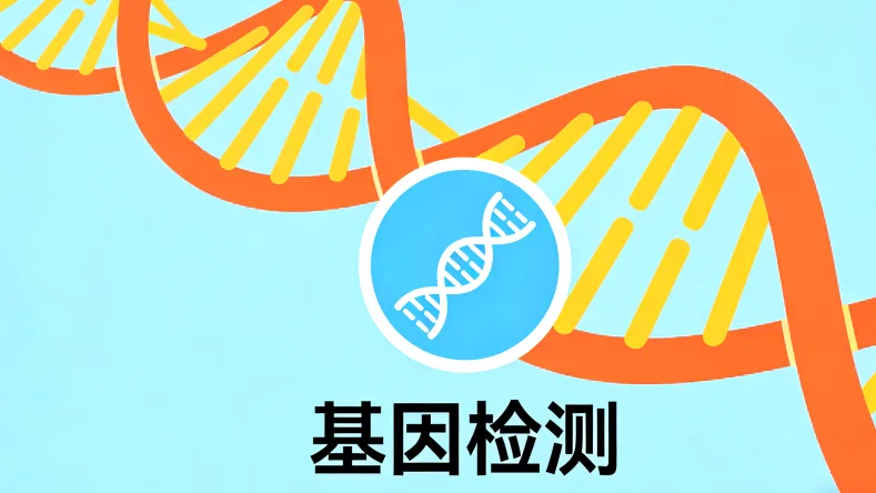 NRAS基因信号通路示意图