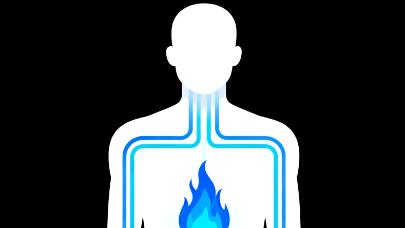 乳腺癌细胞基因检测原理示意图