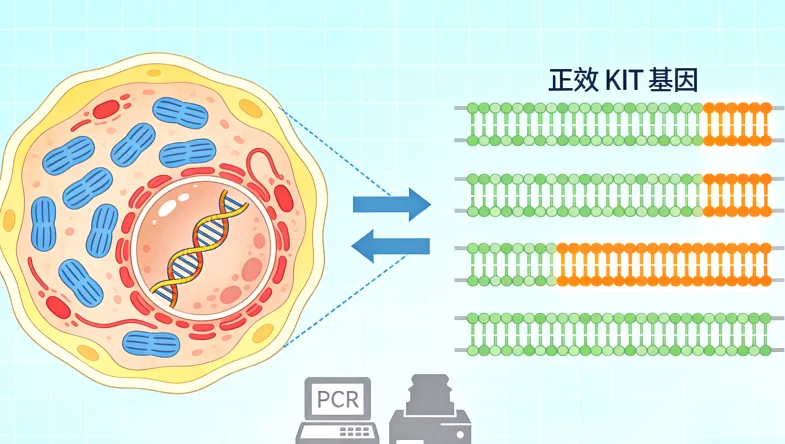 肿瘤组织与血液样本检测流程对比