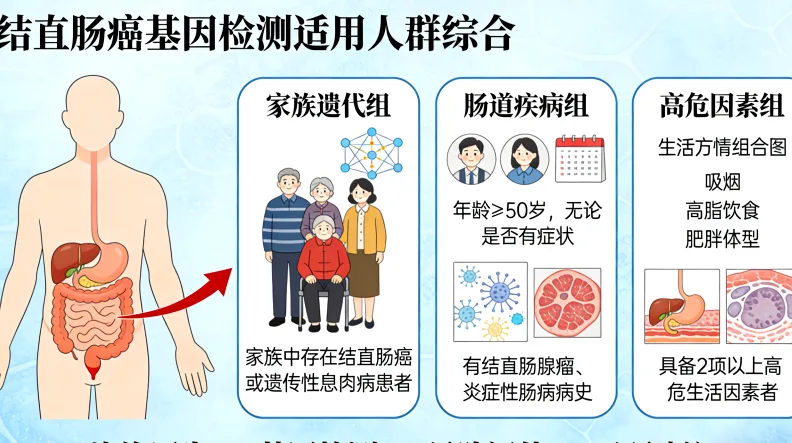 T790M突变导致EGFR蛋白结构变化示意图