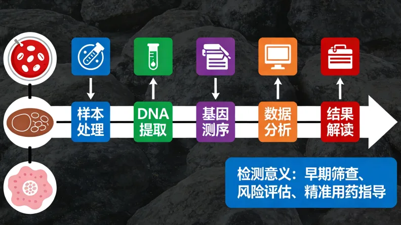 基因检测报告关键信息示意图