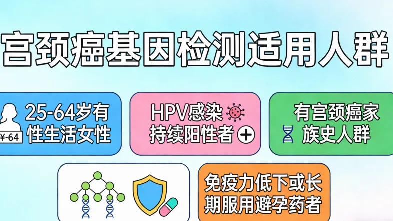 KRAS G12C突变示意图:卡住的油门