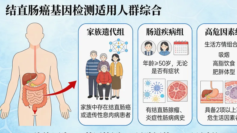 FISH检测原理动态图解