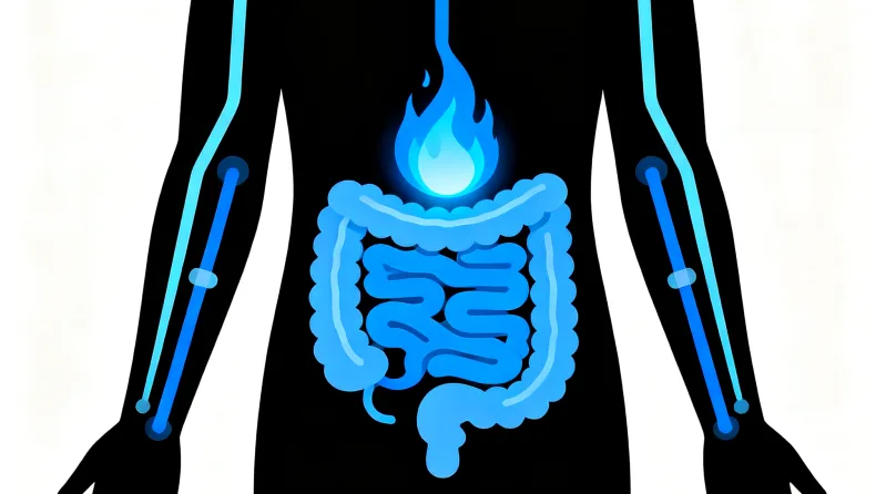 肠癌全基因检测报告关键信息区域标注图