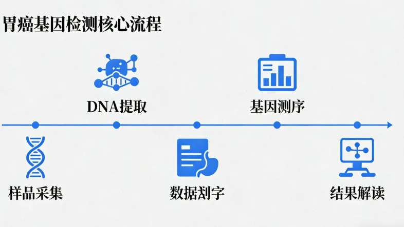 PD-L1蛋白在肿瘤细胞上的表达示意图