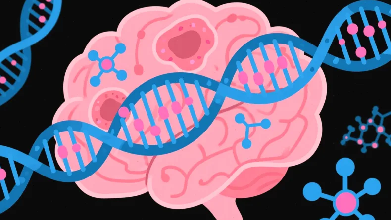 Claudin18.2蛋白在细胞膜上的示意图