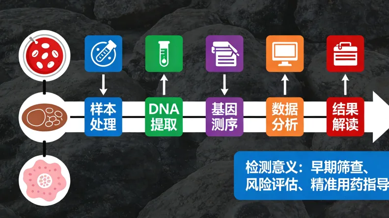 基因检测报告关键部分示例
