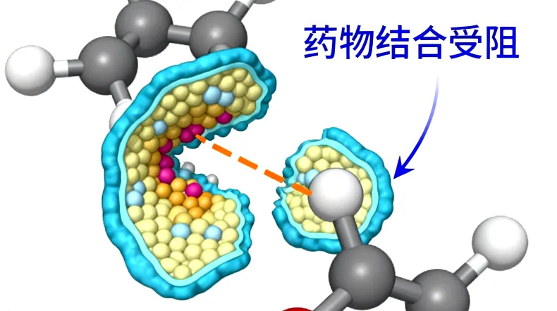 遗传咨询师正在解读基因检测报告