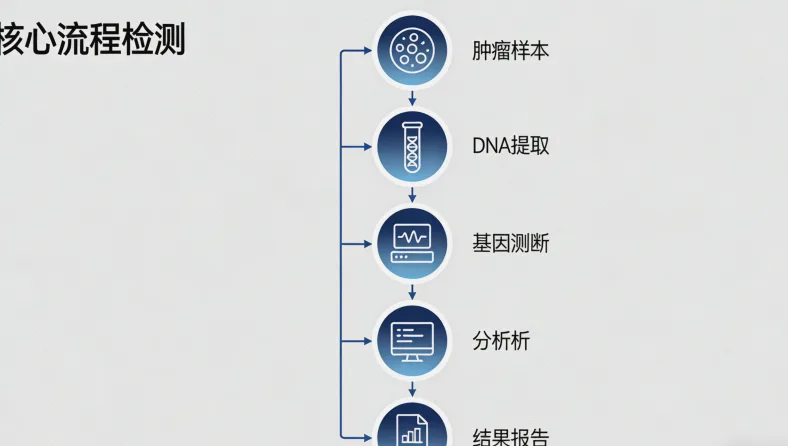 错配修复基因作用机制示意图