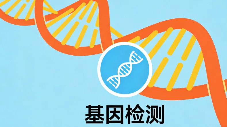 EGFR基因常见突变类型示意图