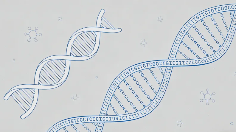 基因检测报告关键部分解读示例