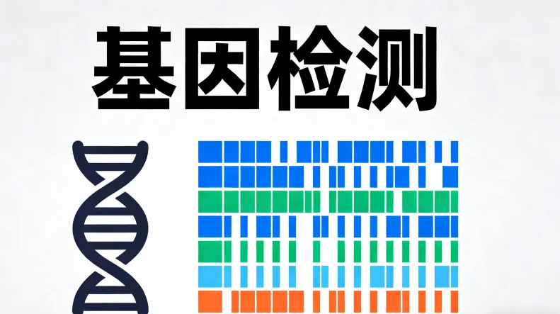 BRAF基因突变示意图