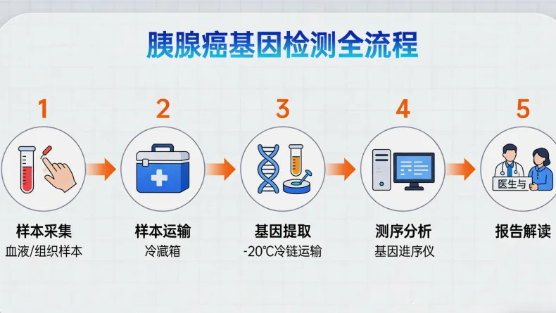 基因检测报告重点解读区域示意