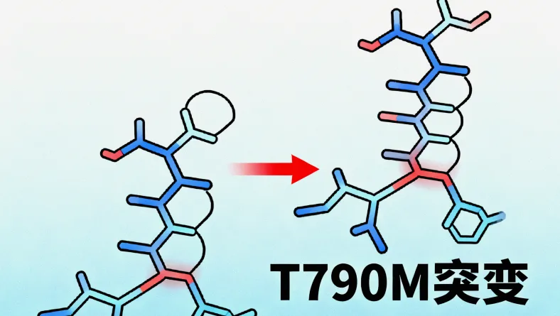 靶向药物作用机制卡通图解