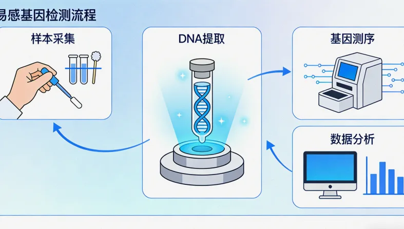 PD-1/PD-L1免疫治疗作用机制示意图