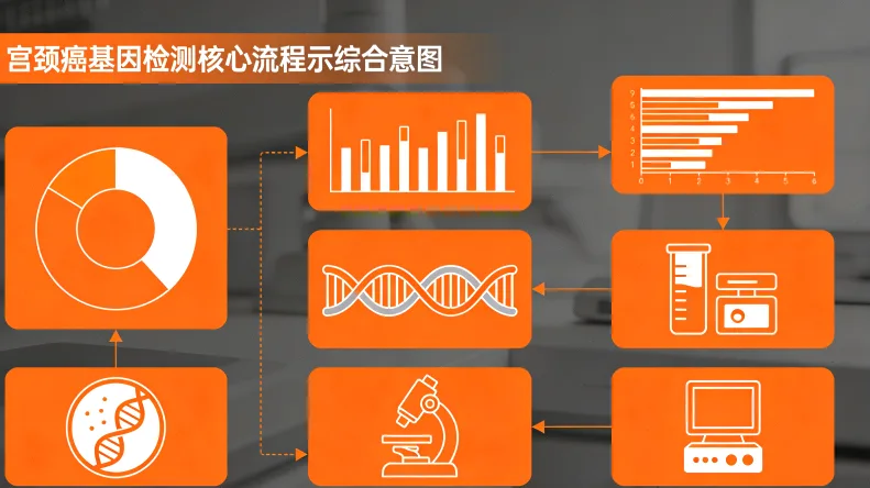 HER2基因突变示意图