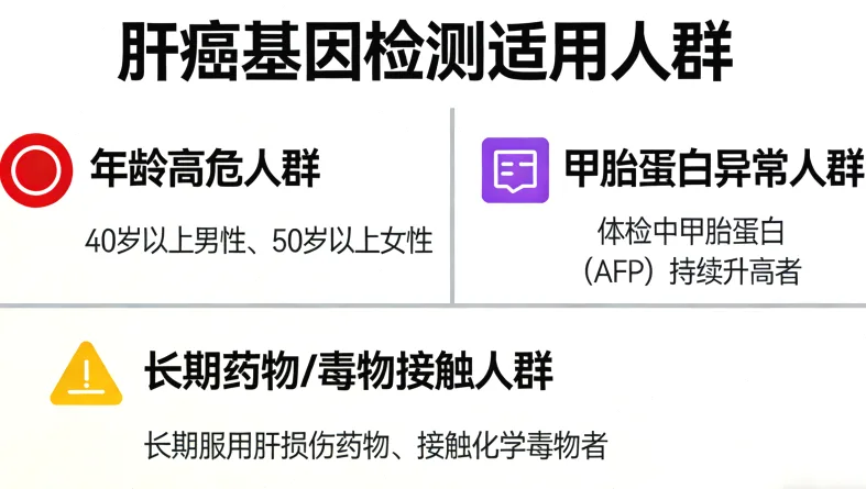 病理切片染色后在显微镜下的图像