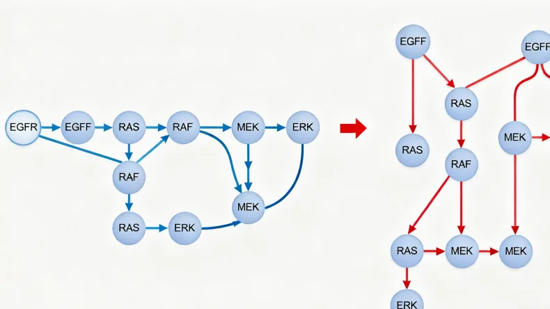 dMMR检测核心基因示意图