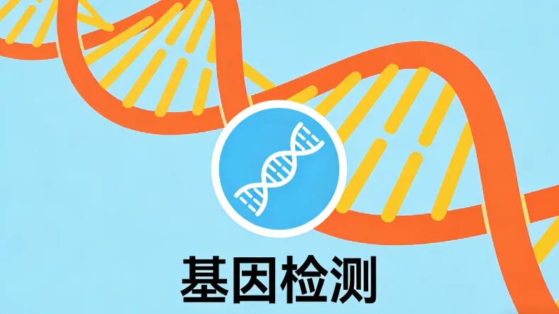 RAS基因信号通路示意图