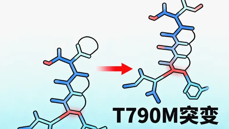 病理组织切片与基因检测流程简图
