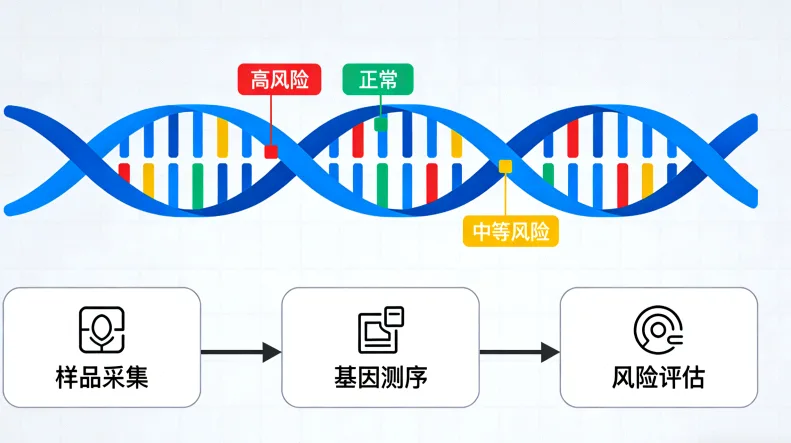 肿瘤突变负荷检测报告示例图