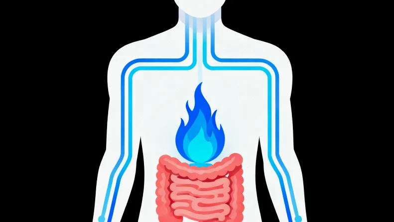 ALK基因融合示意图